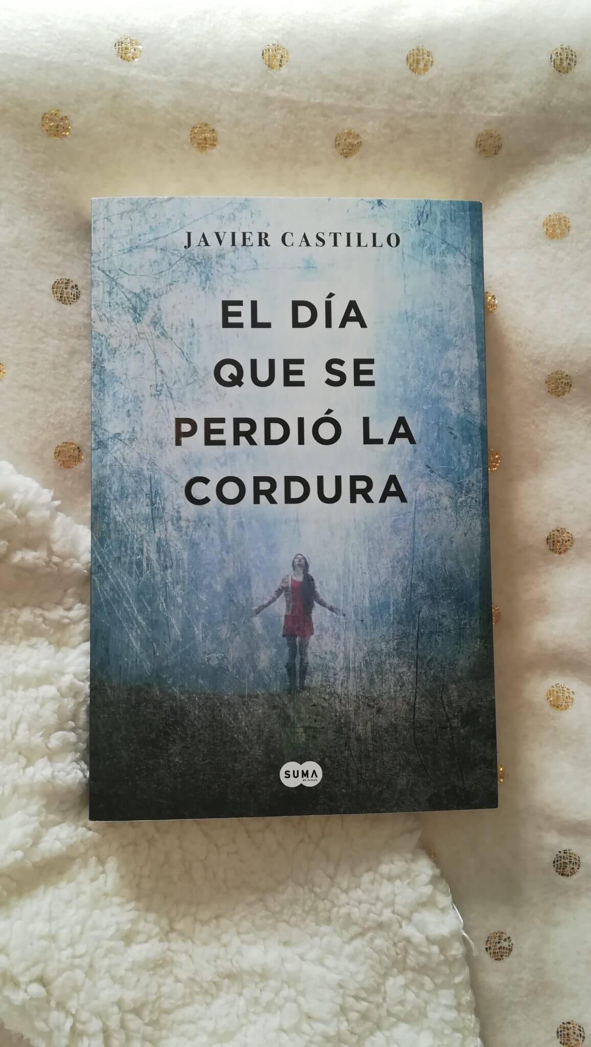 El día que se perdió la cordura – Javier Castillo