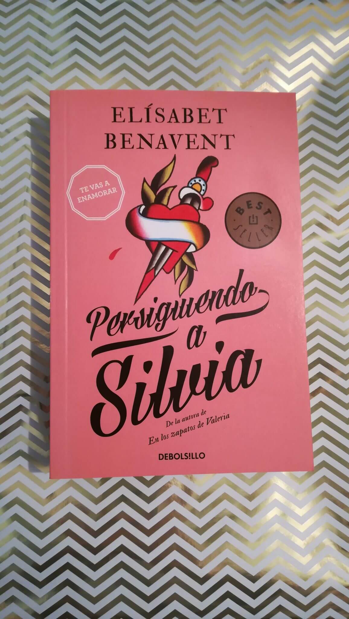 Persiguiendo a Silvia – Elísabet Benavent